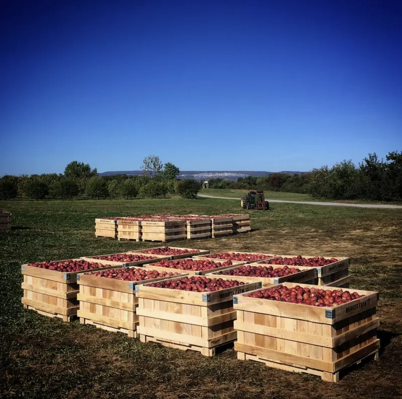 Wright's Farm