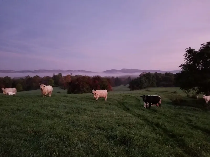 Wright's Farm photo