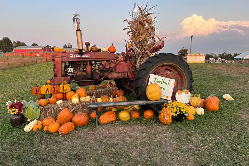 Derthick's Corn Maze & Farm Experience