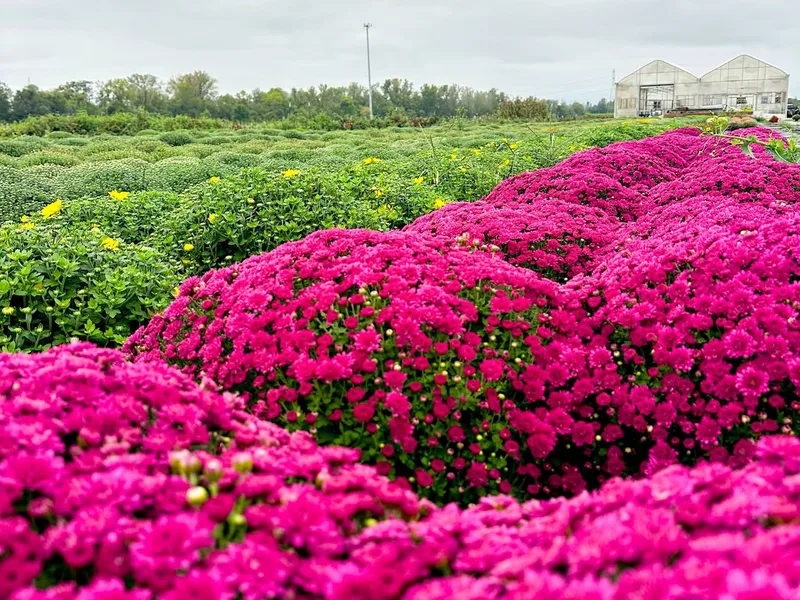 Garver Family Farm Market photo
