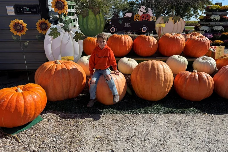 Jason's Pumpkin Patch photo