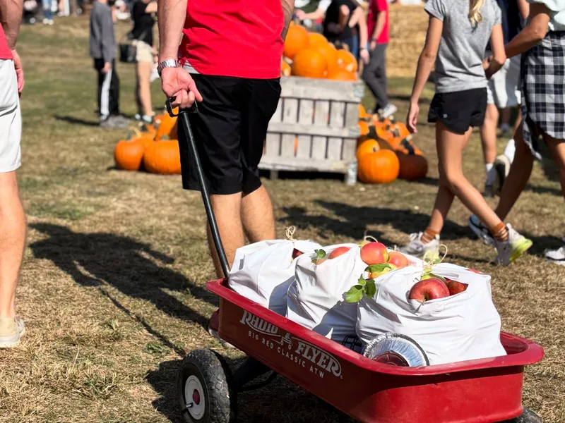 Quarry Hill Orchards