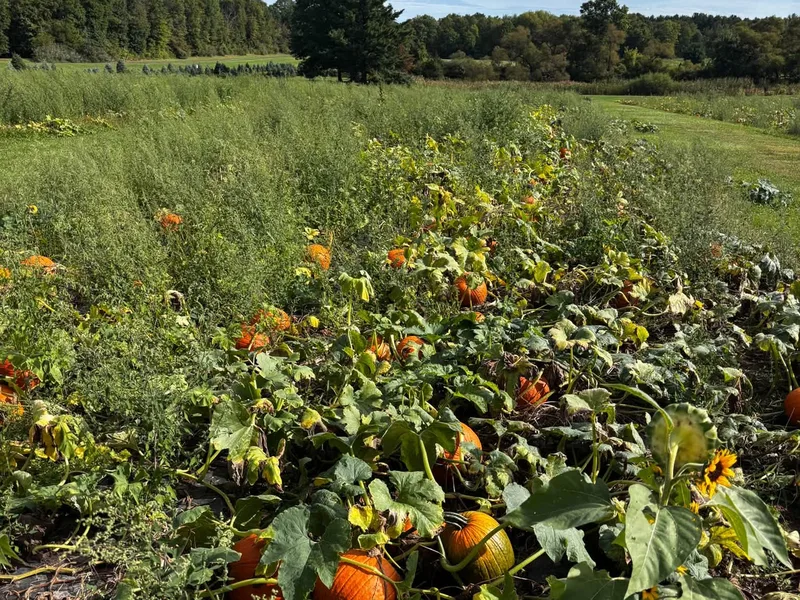 AGA Farms