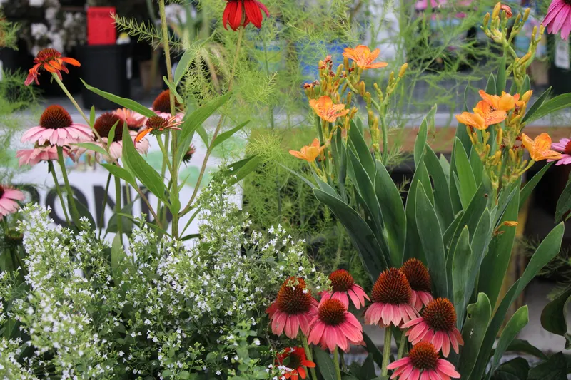 Ashcombe Farm & Greenhouses photo