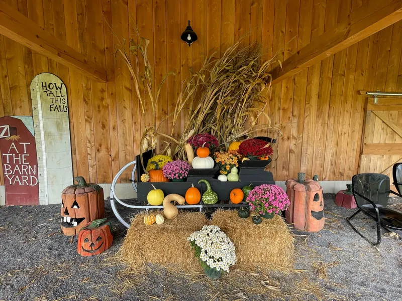 At The Barnyard