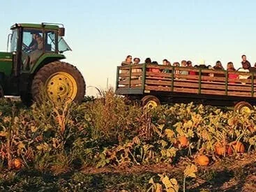 Country Creek Produce Farm