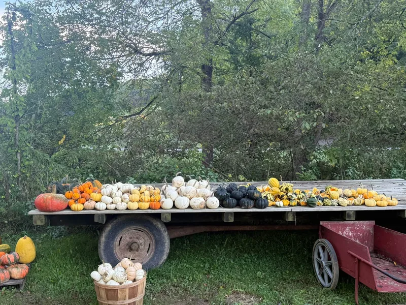 Frye Pumpkin Farm