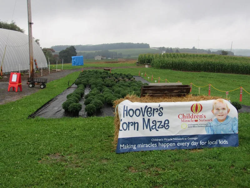 Hoover's Corn Maze And Pumpkin Patch photo