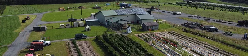 JB Tree Farm photo