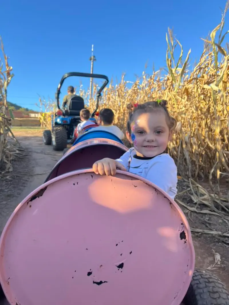 Mitchell Farms
