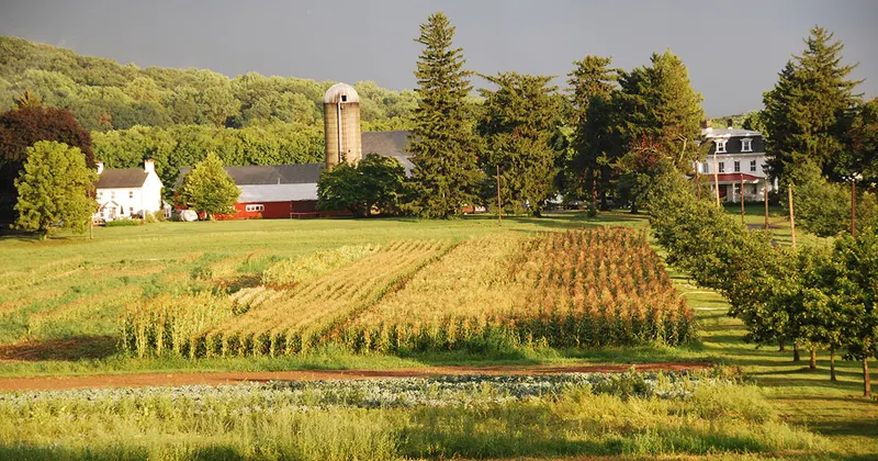 None Such Farms