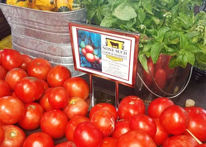 None Such Farms photo