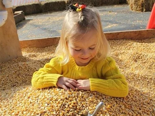 Paulus Farm Market