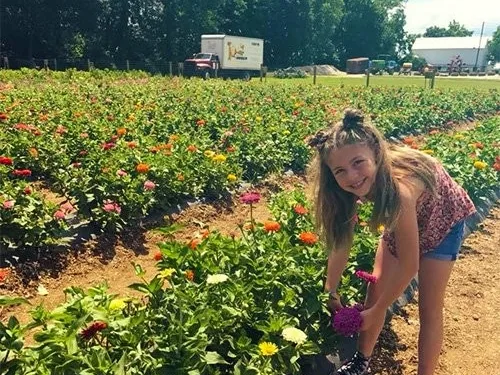 Paulus Farm Market photo