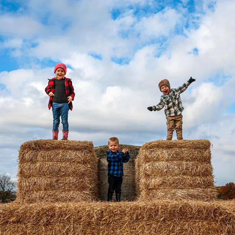 Sissons' Pumpkin Patch