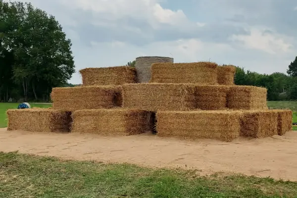 Sissons' Pumpkin Patch photo