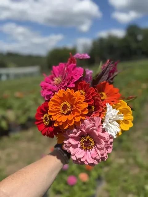 Soergel Orchards
