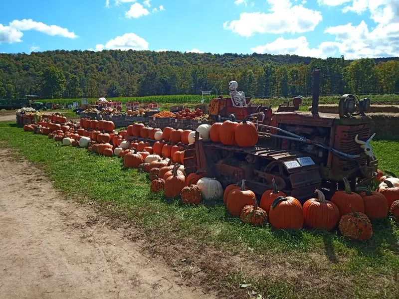 Whistle Pig Farm photo