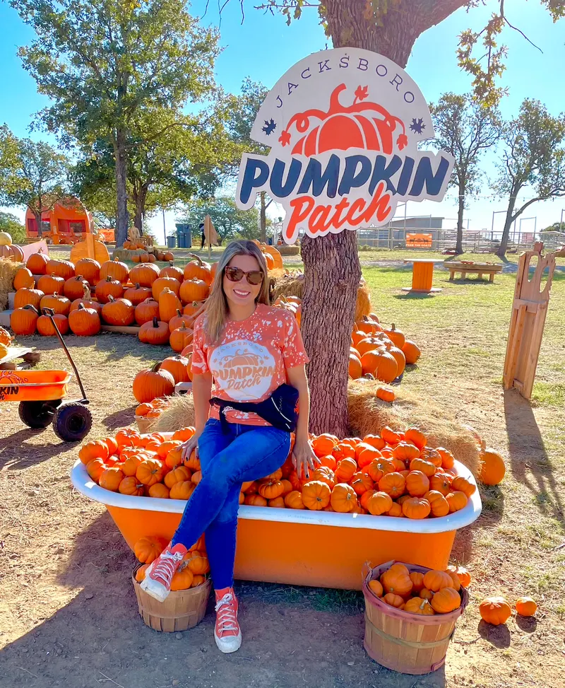 Jacksboro Pumpkin Patch