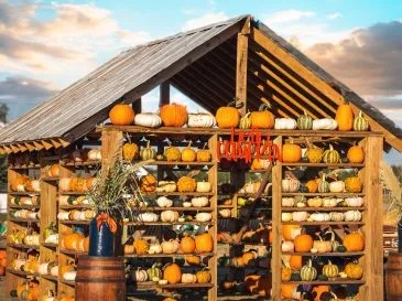 Mama Mary's Farm & Pumpkin Patch
