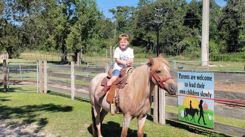 Old MacDonald's Farm photo