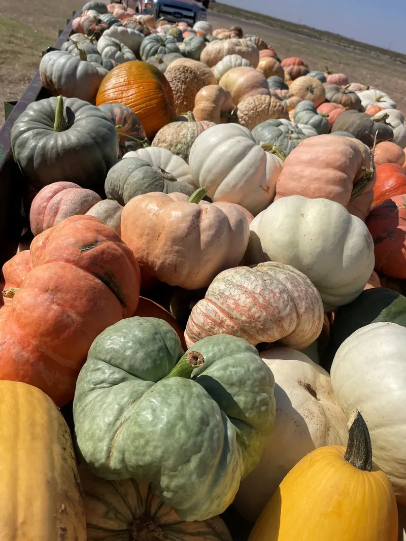 Ruby Creek Family Farm photo