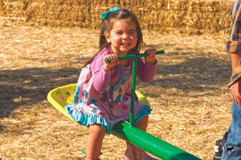 Uhland Fall Fest photo